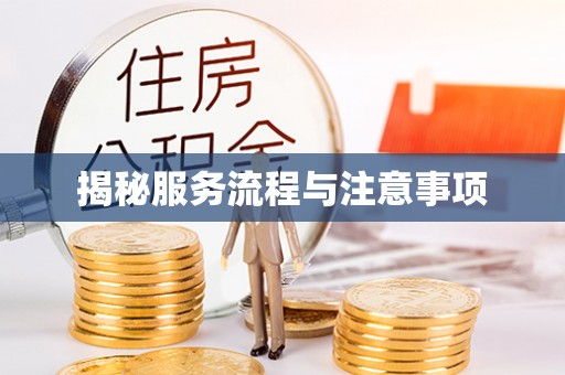 肇州揭秘服务流程与注意事项