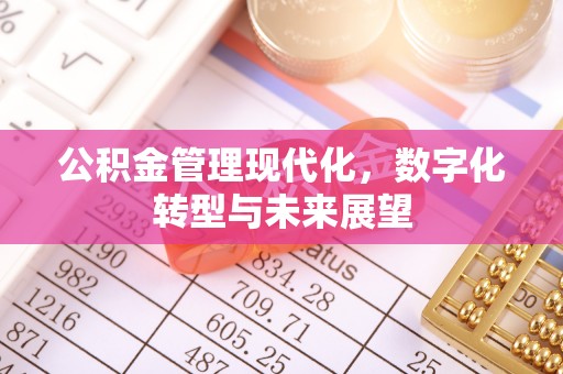 肇州公积金管理现代化，数字化转型与未来展望