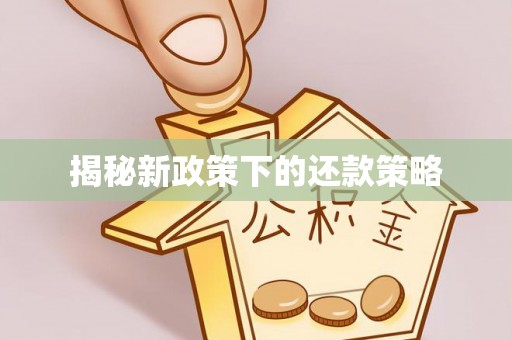 肇州揭秘新政策下的还款策略