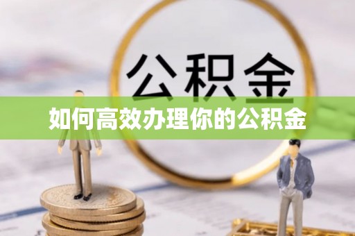 肇州如何高效办理你的公积金