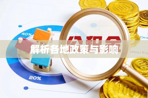 肇州解析各地政策与影响