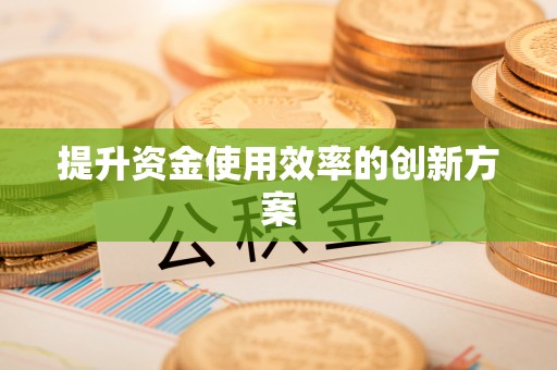 肇州提升资金使用效率的创新方案