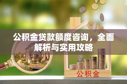肇州公积金贷款额度咨询，全面解析与实用攻略