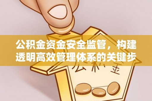 肇州公积金资金安全监管，构建透明高效管理体系的关键步骤