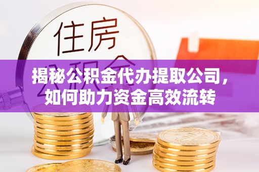 肇州揭秘公积金代办提取公司，如何助力资金高效流转