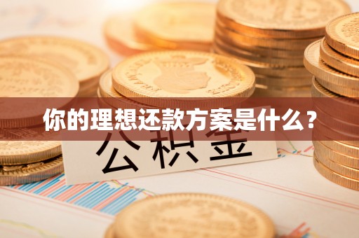 肇州你的理想还款方案是什么？