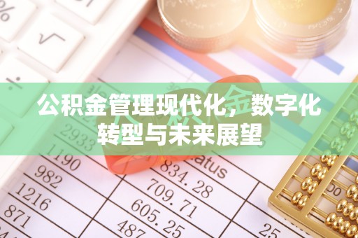 肇州公积金管理现代化，数字化转型与未来展望