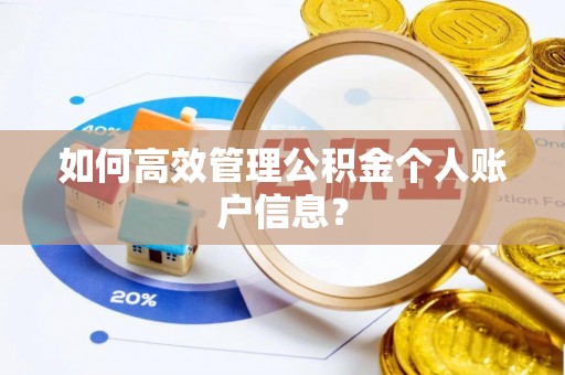 肇州如何高效管理公积金个人账户信息？