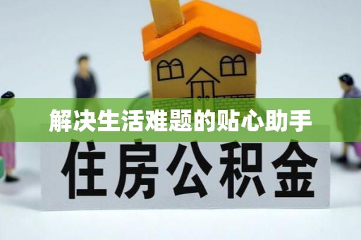 肇州解决生活难题的贴心助手