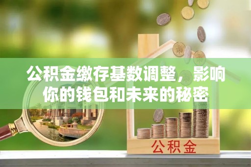 肇州公积金缴存基数调整，影响你的钱包和未来的秘密