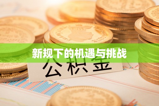 肇州新规下的机遇与挑战