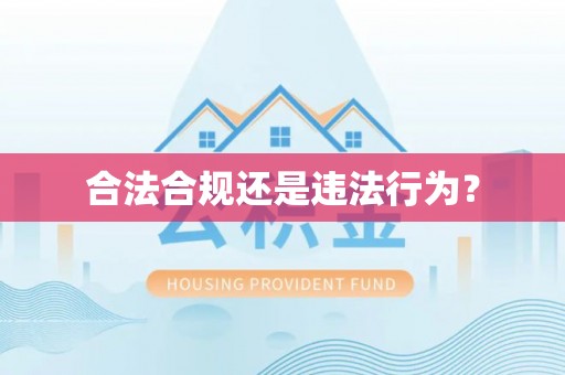 肇州合法合规还是违法行为？