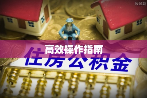 肇州高效操作指南