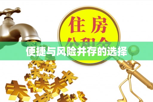 肇州便捷与风险并存的选择