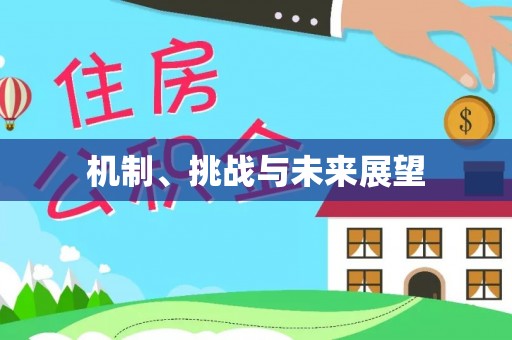 肇州机制、挑战与未来展望