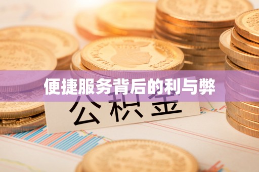 肇州便捷服务背后的利与弊