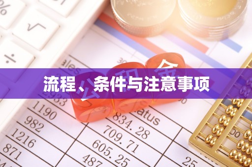 肇州流程、条件与注意事项